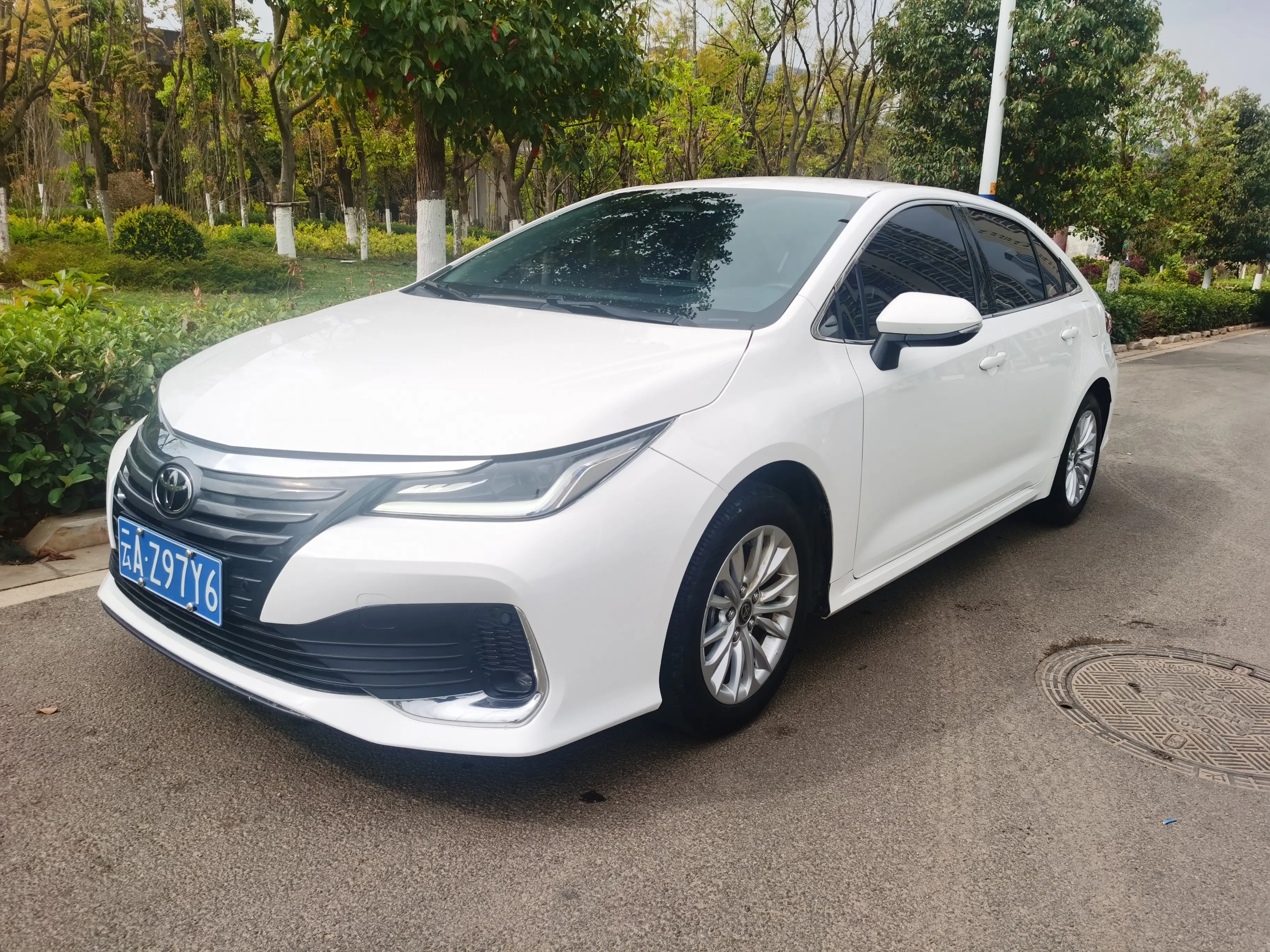 Toyota Asiatic lion