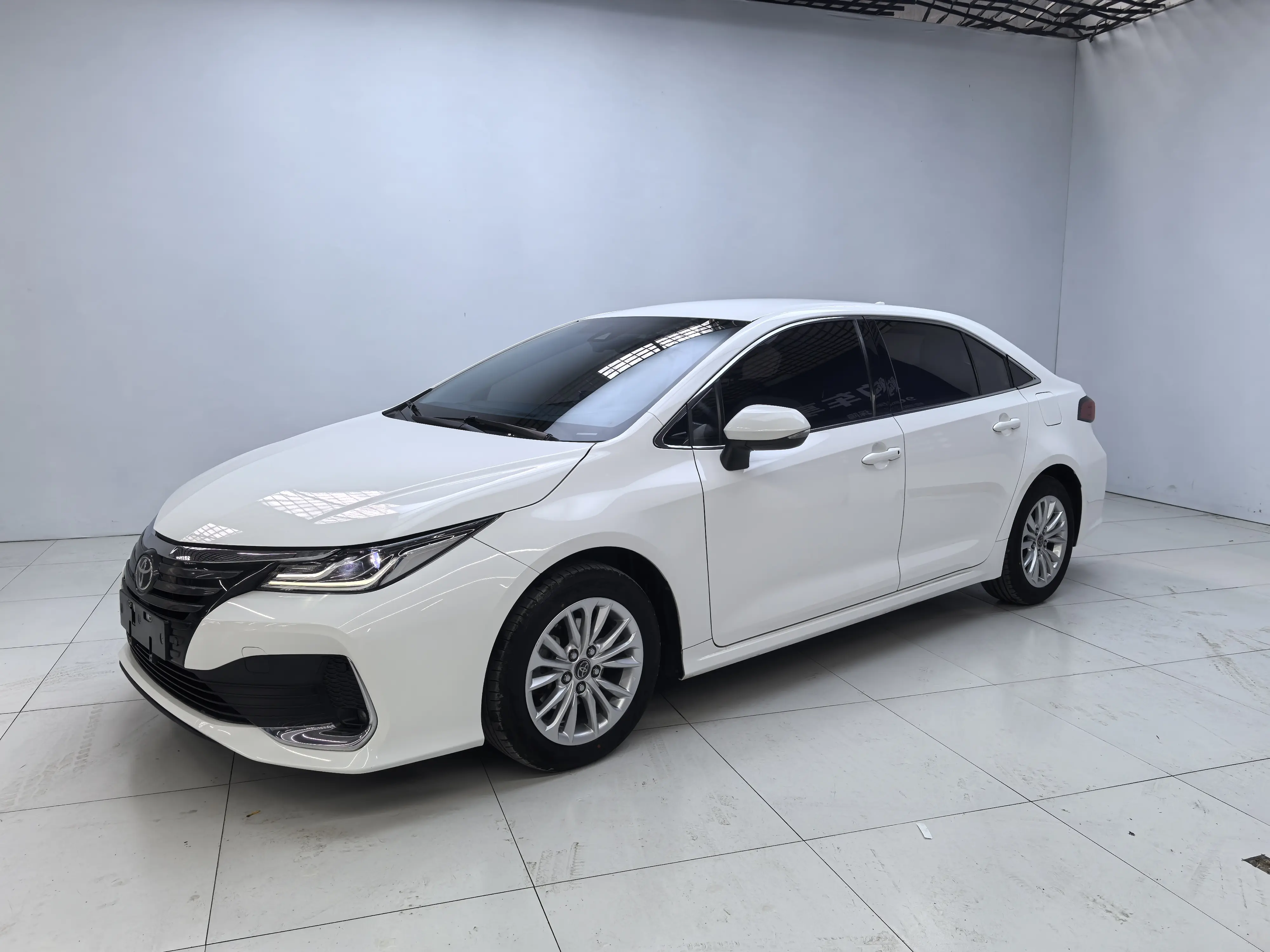 Toyota Asiatic lion