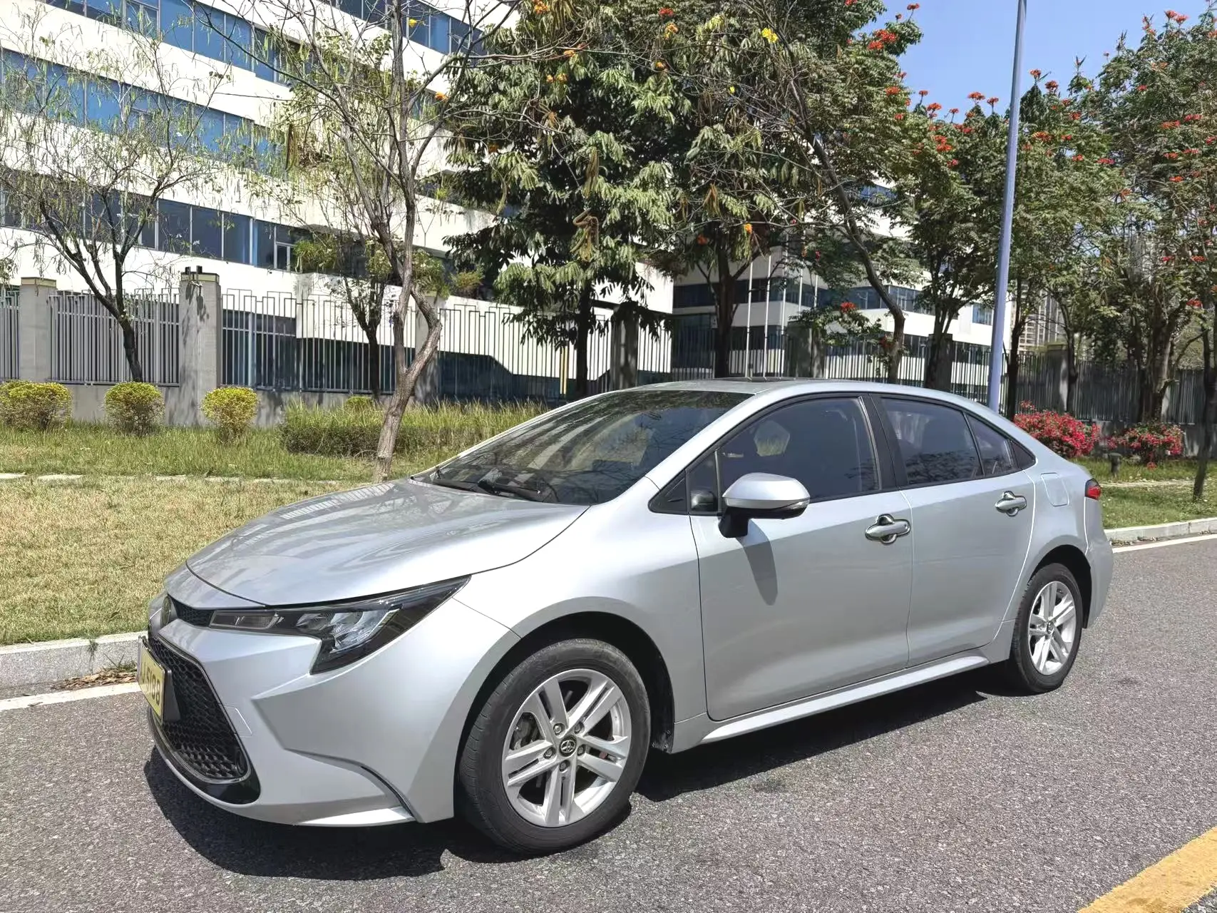 Toyota Levin