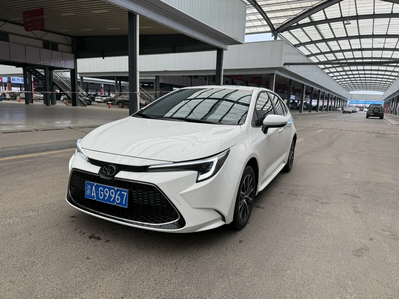 Toyota Levin