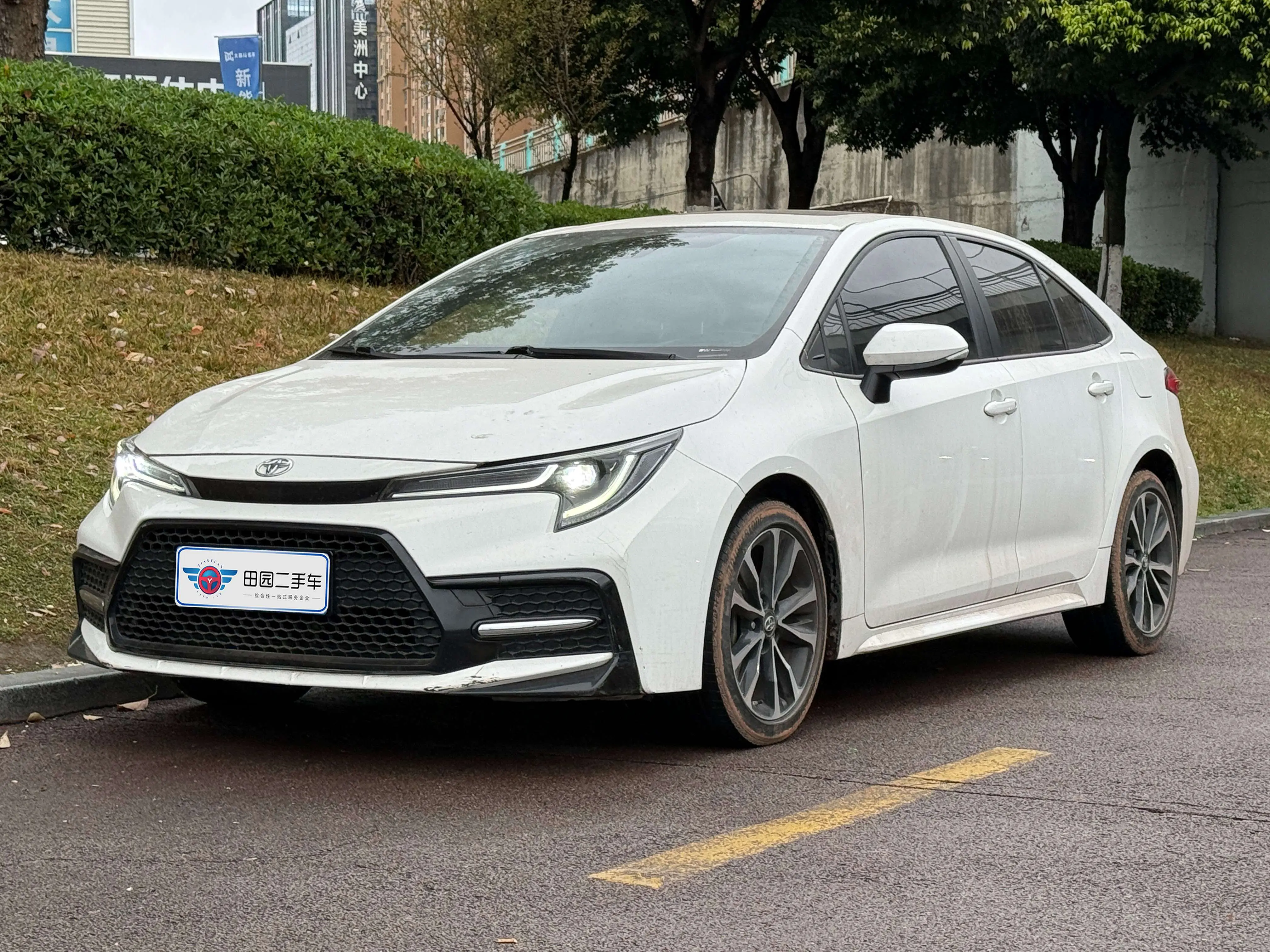Toyota Levin
