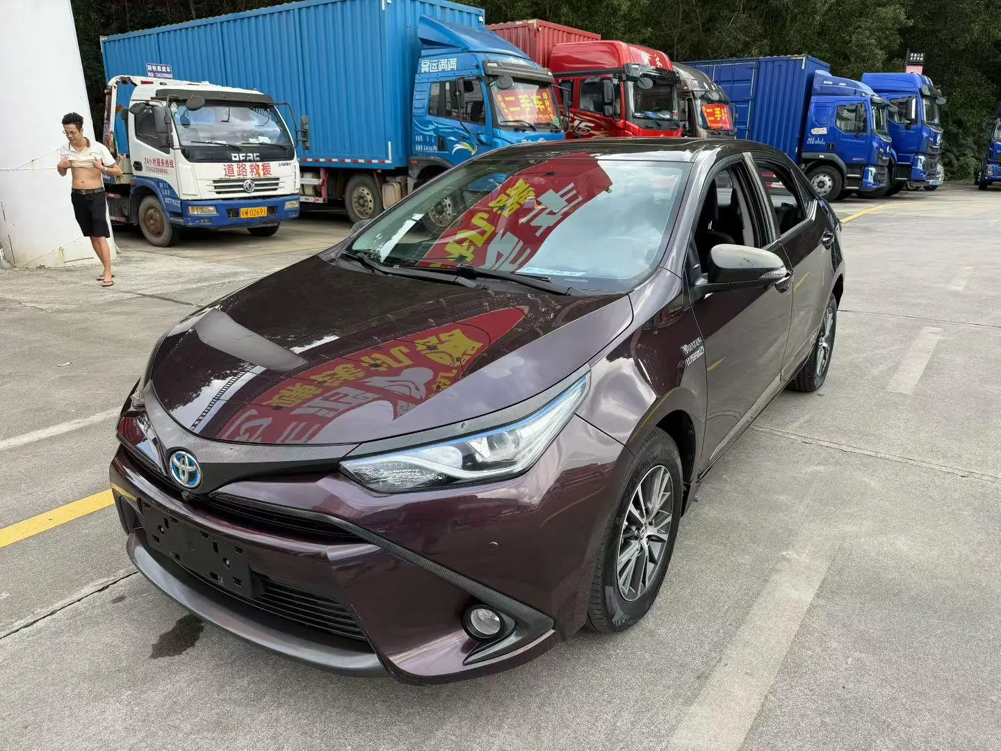Toyota Levin