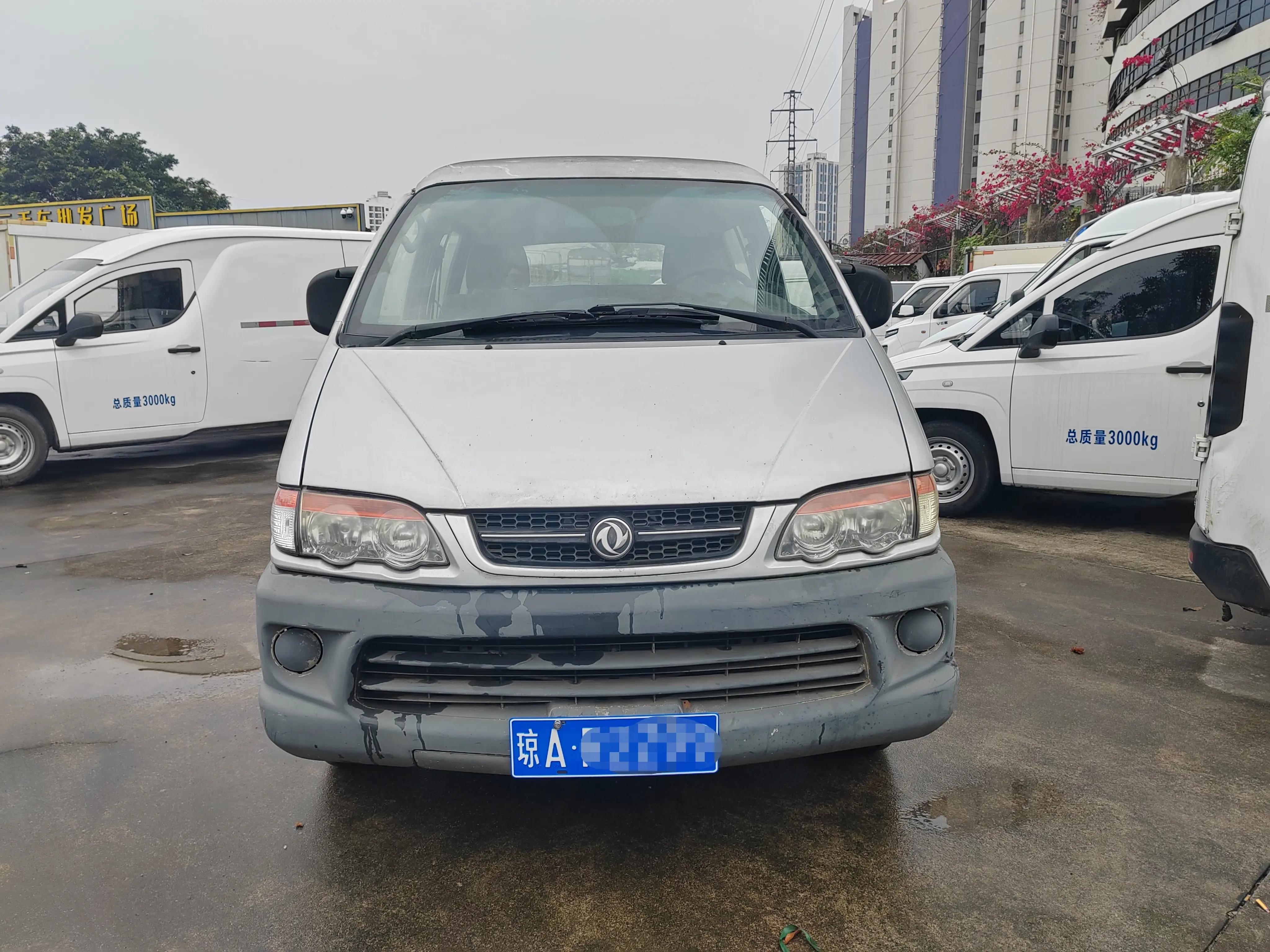 Forthing Lingzhi