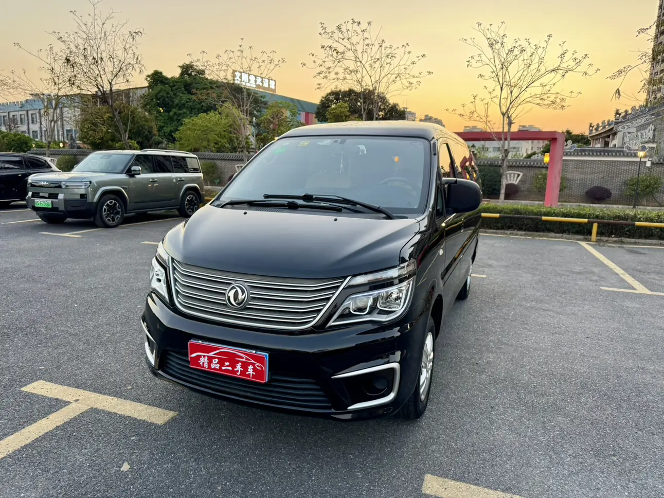 Forthing Lingzhi