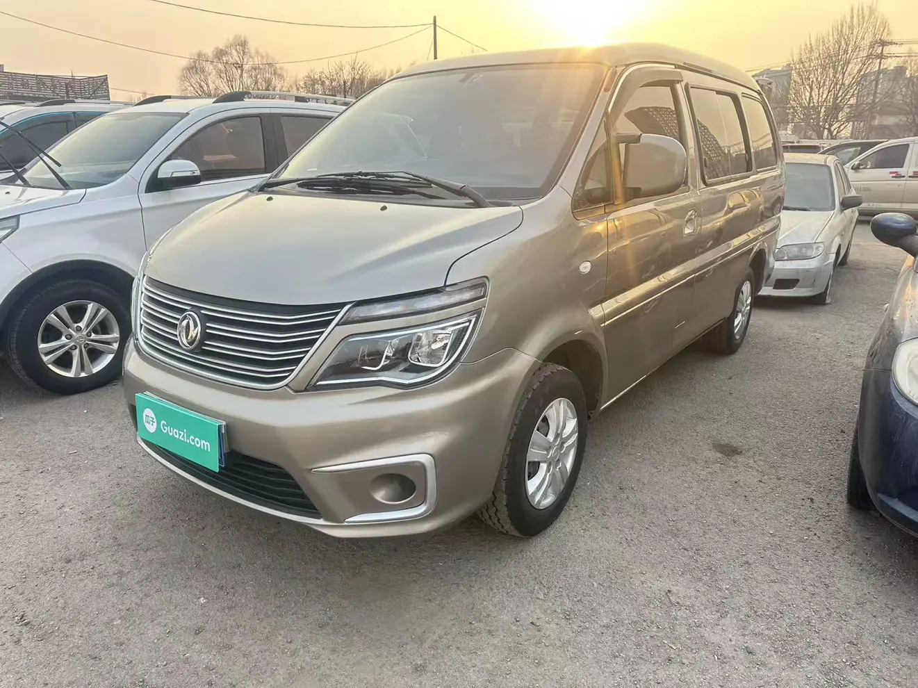 Forthing Lingzhi