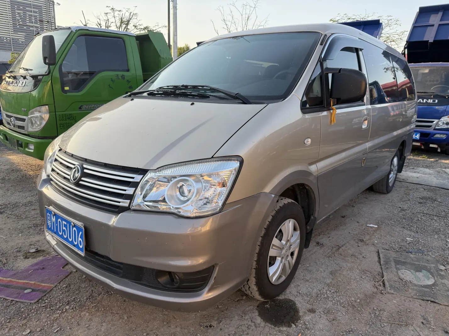 Forthing Lingzhi