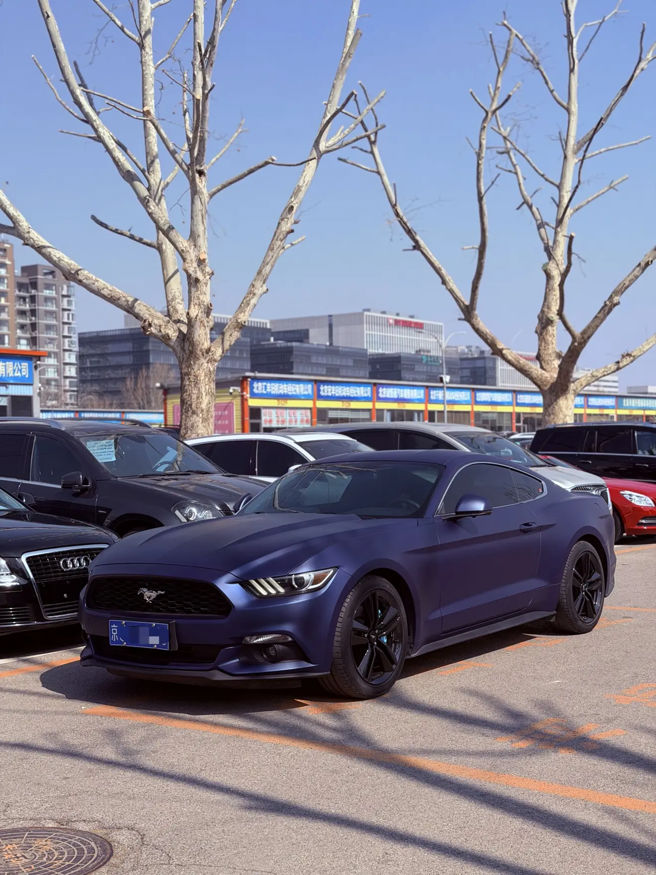 Ford Mustang