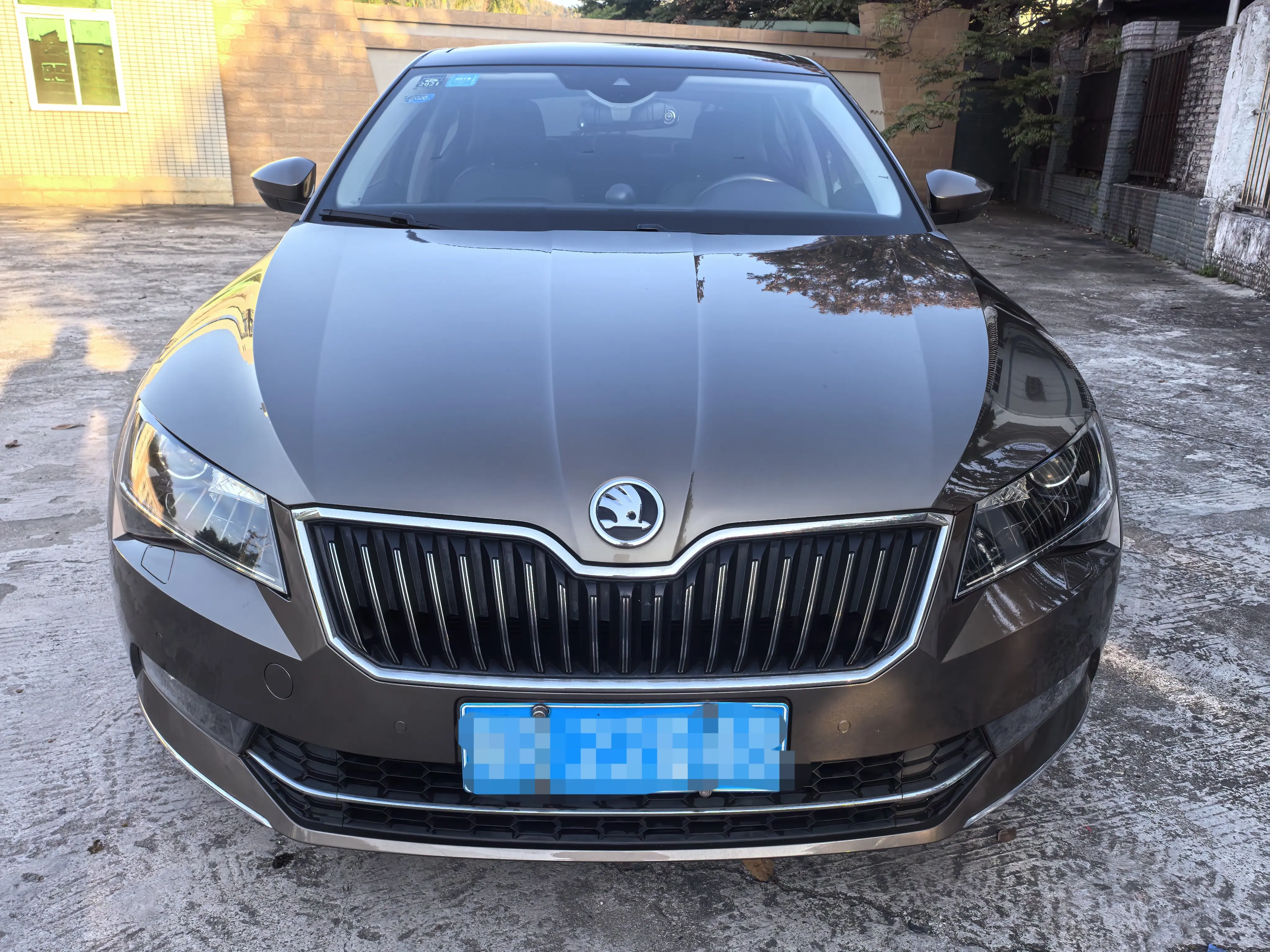 Skoda Speedy  из Китая