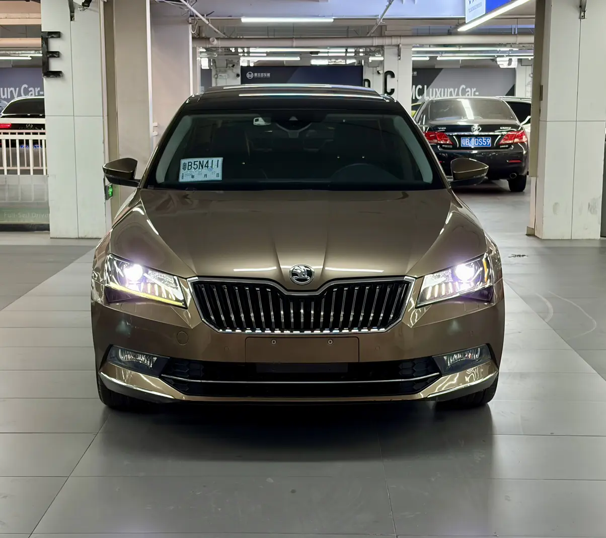 Skoda Speedy  из Китая