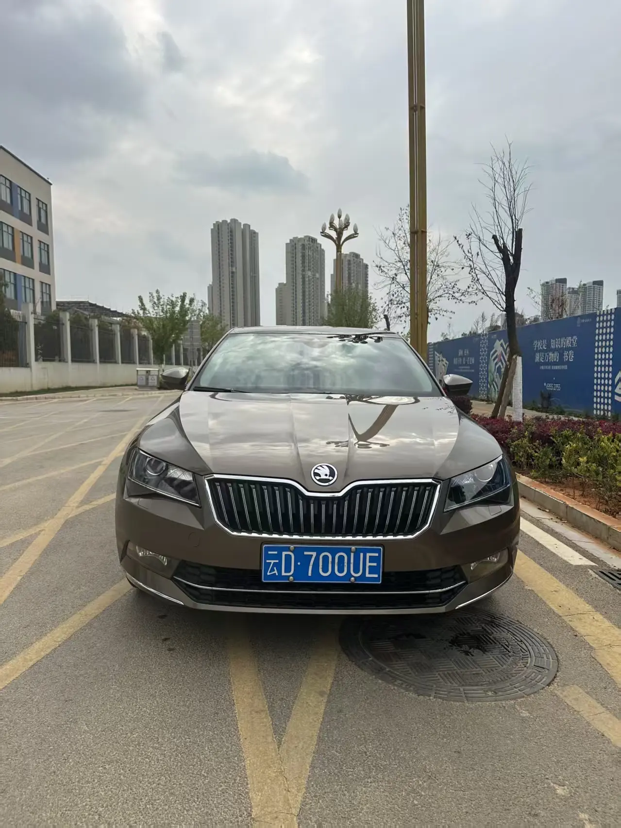 Skoda Speedy  из Китая