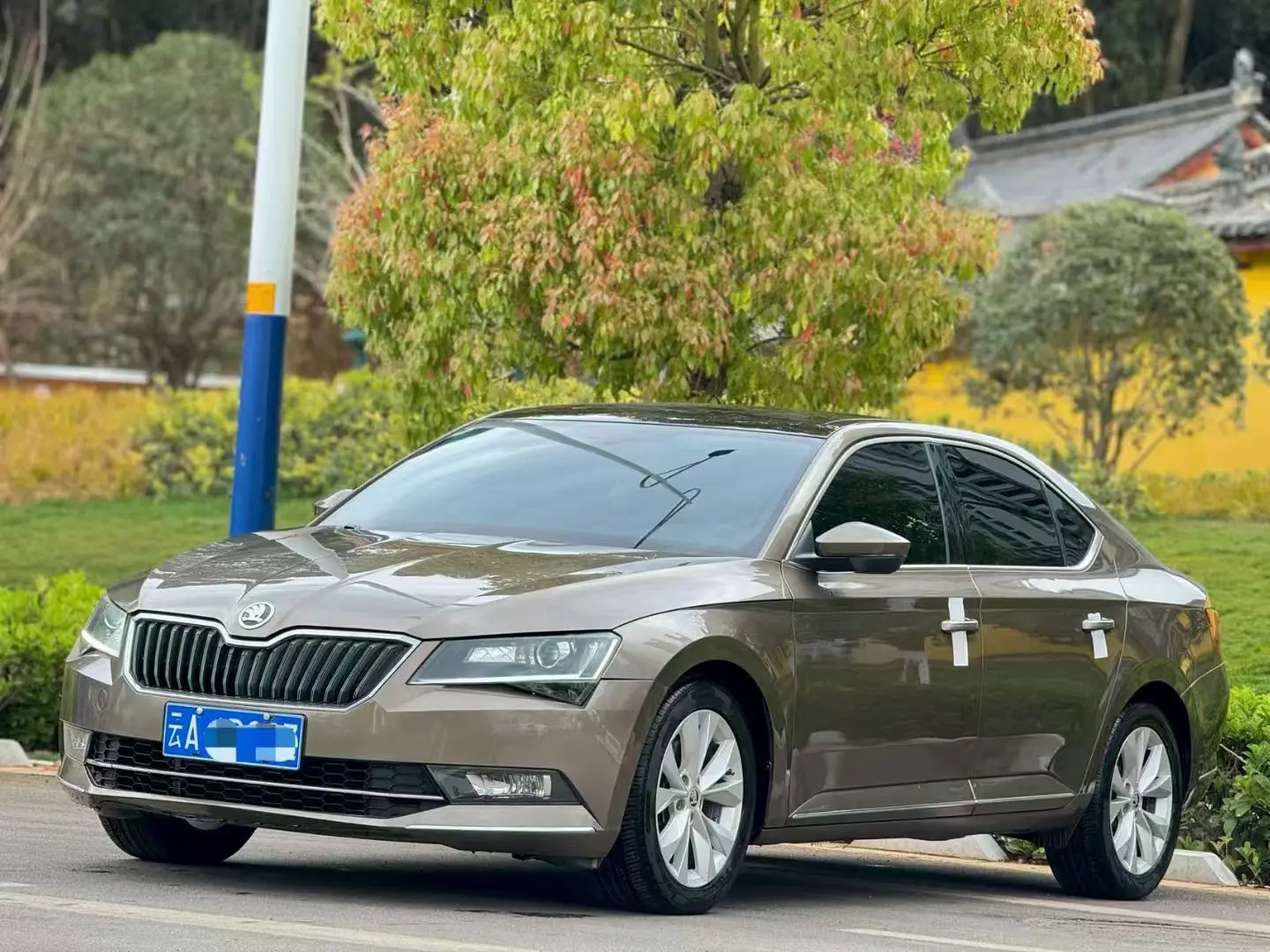 Skoda Speedy  из Китая