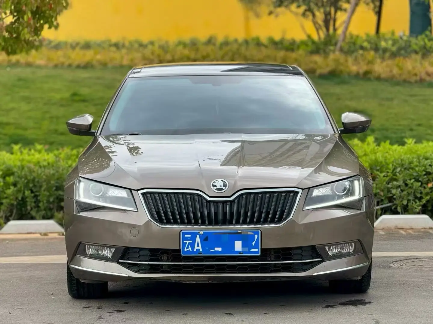 Skoda Speedy  из Китая