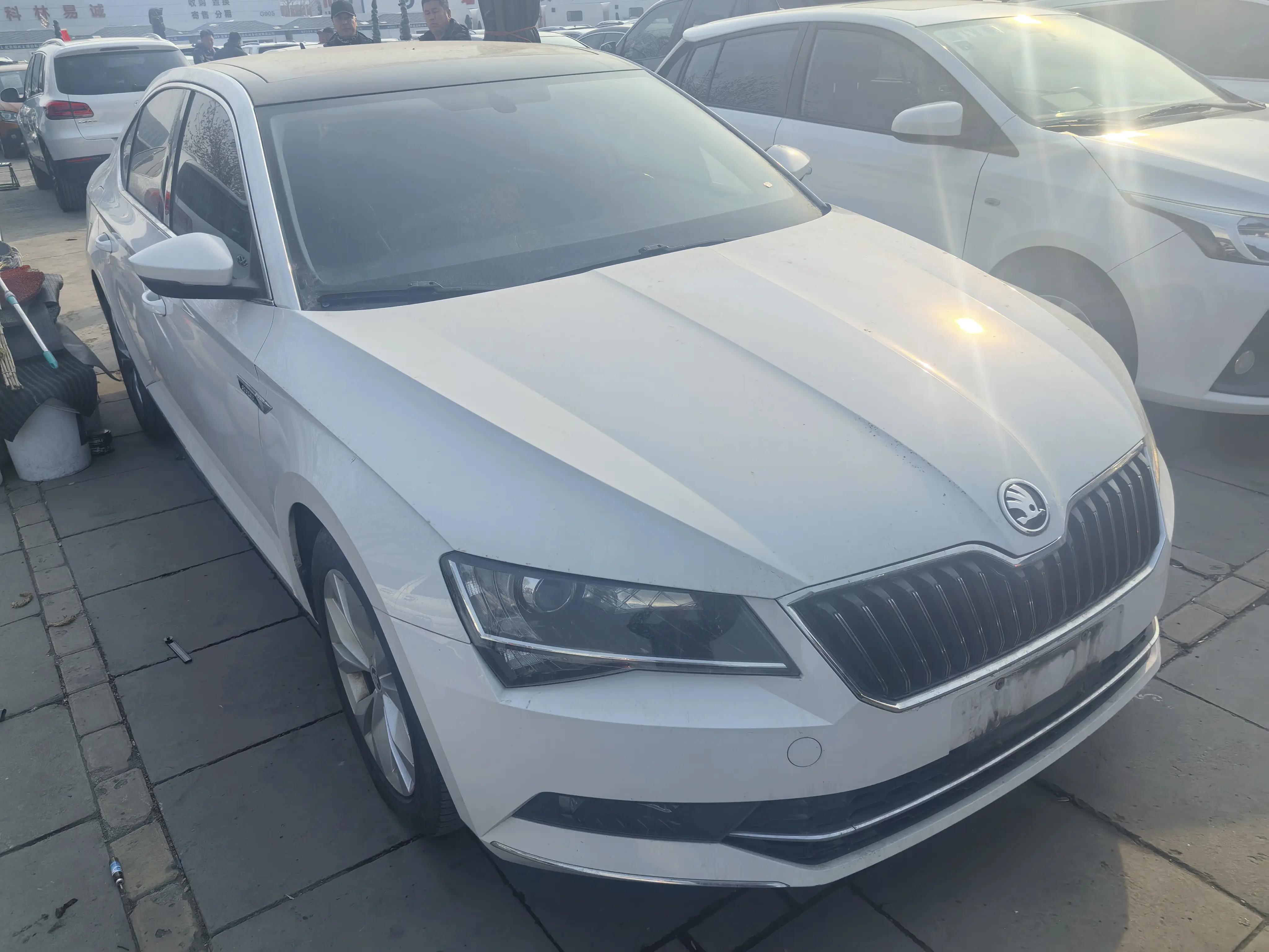 Skoda Speedy  из Китая