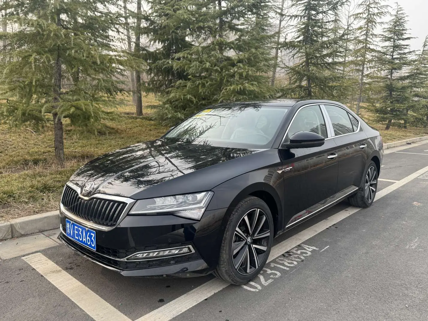 Skoda Speedy
