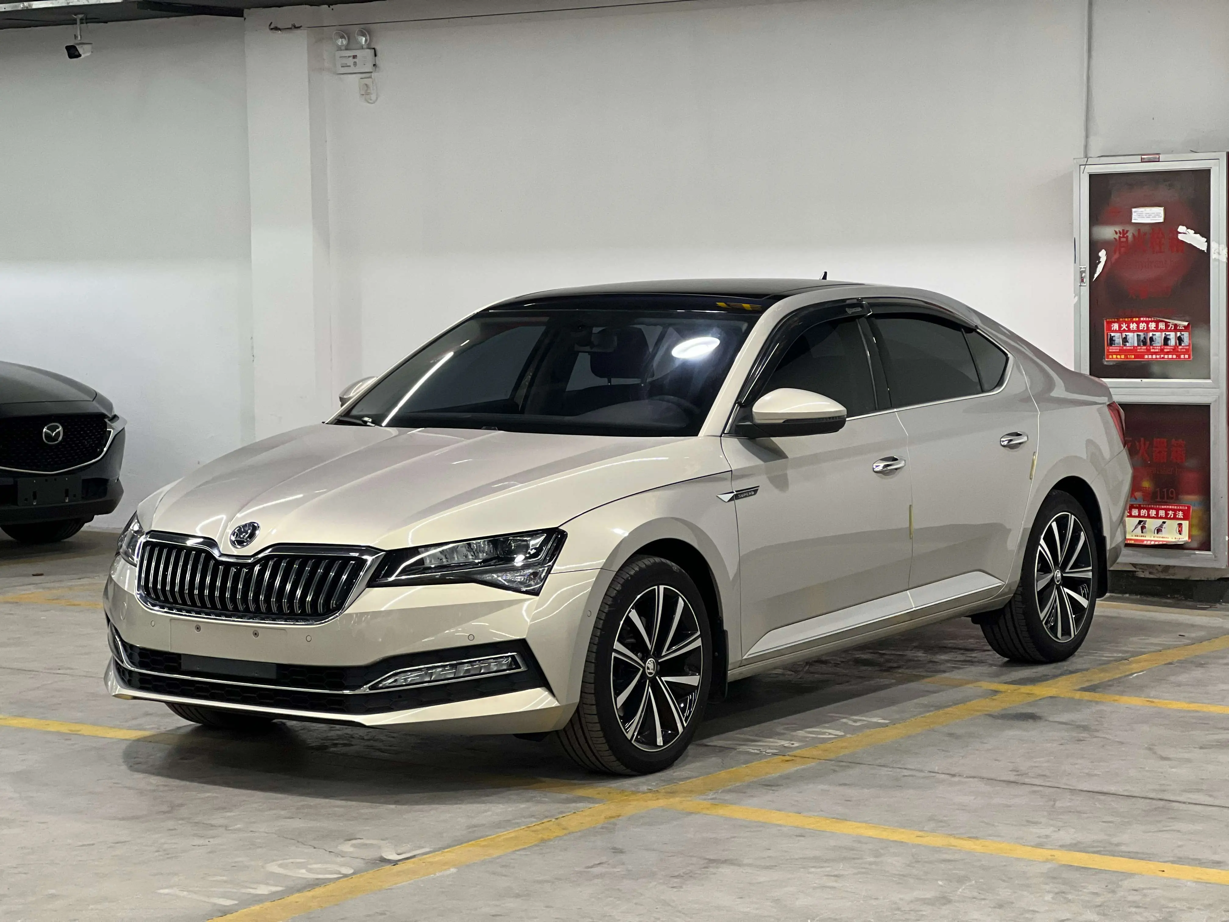 Skoda Speedy