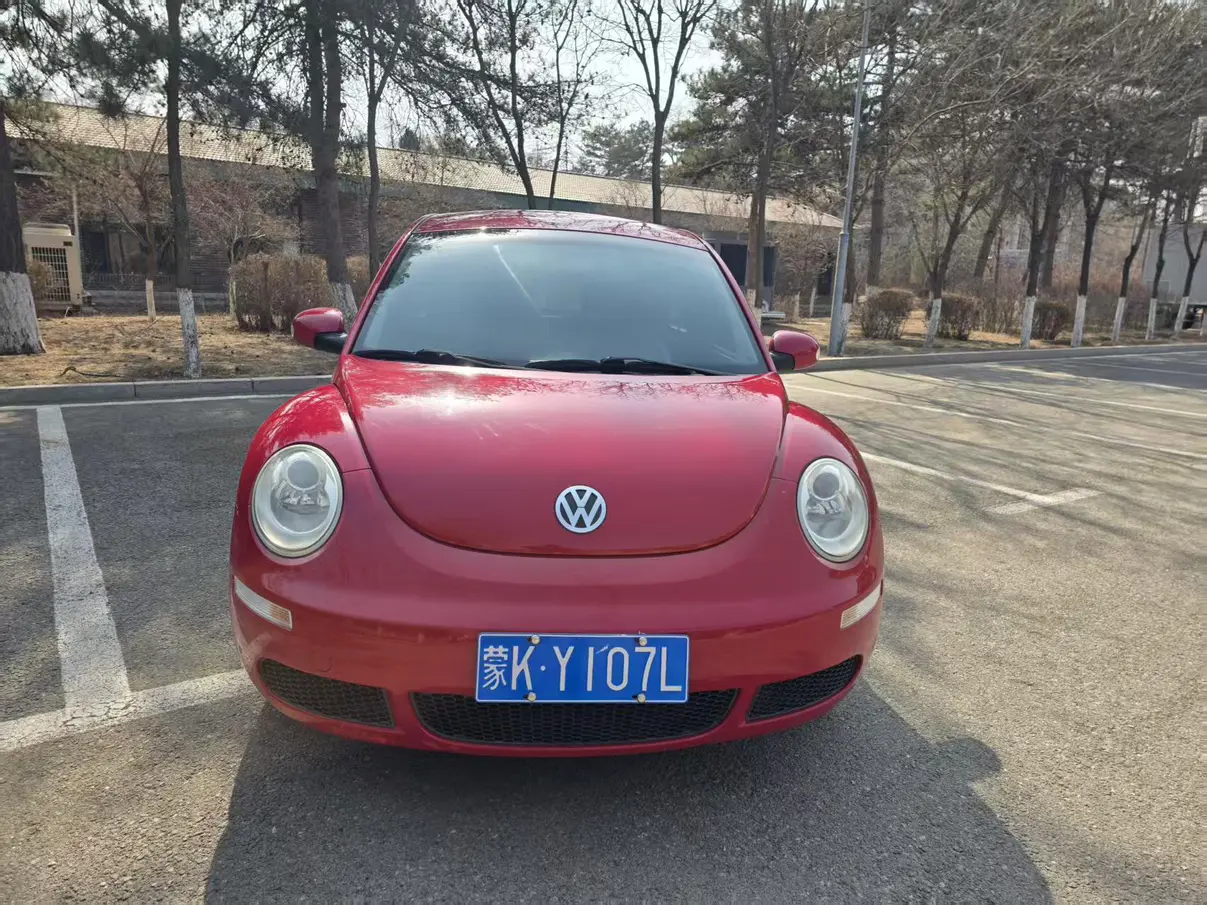 Volkswagen Beetle  из Китая