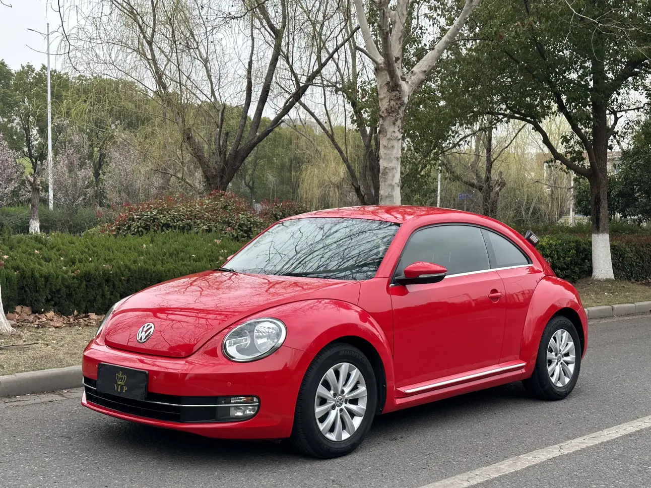 Volkswagen Beetle  из Китая