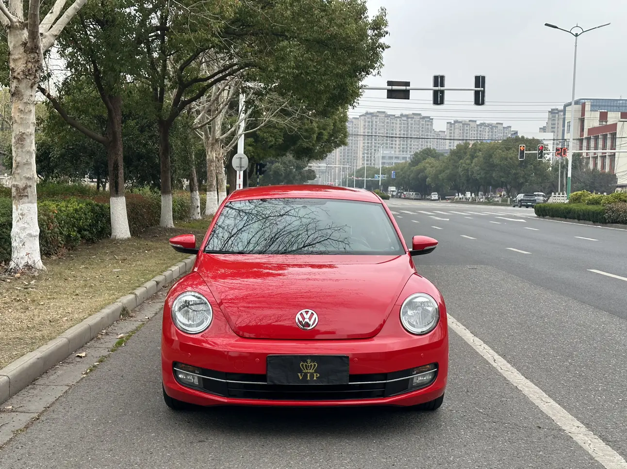 Volkswagen Beetle  из Китая