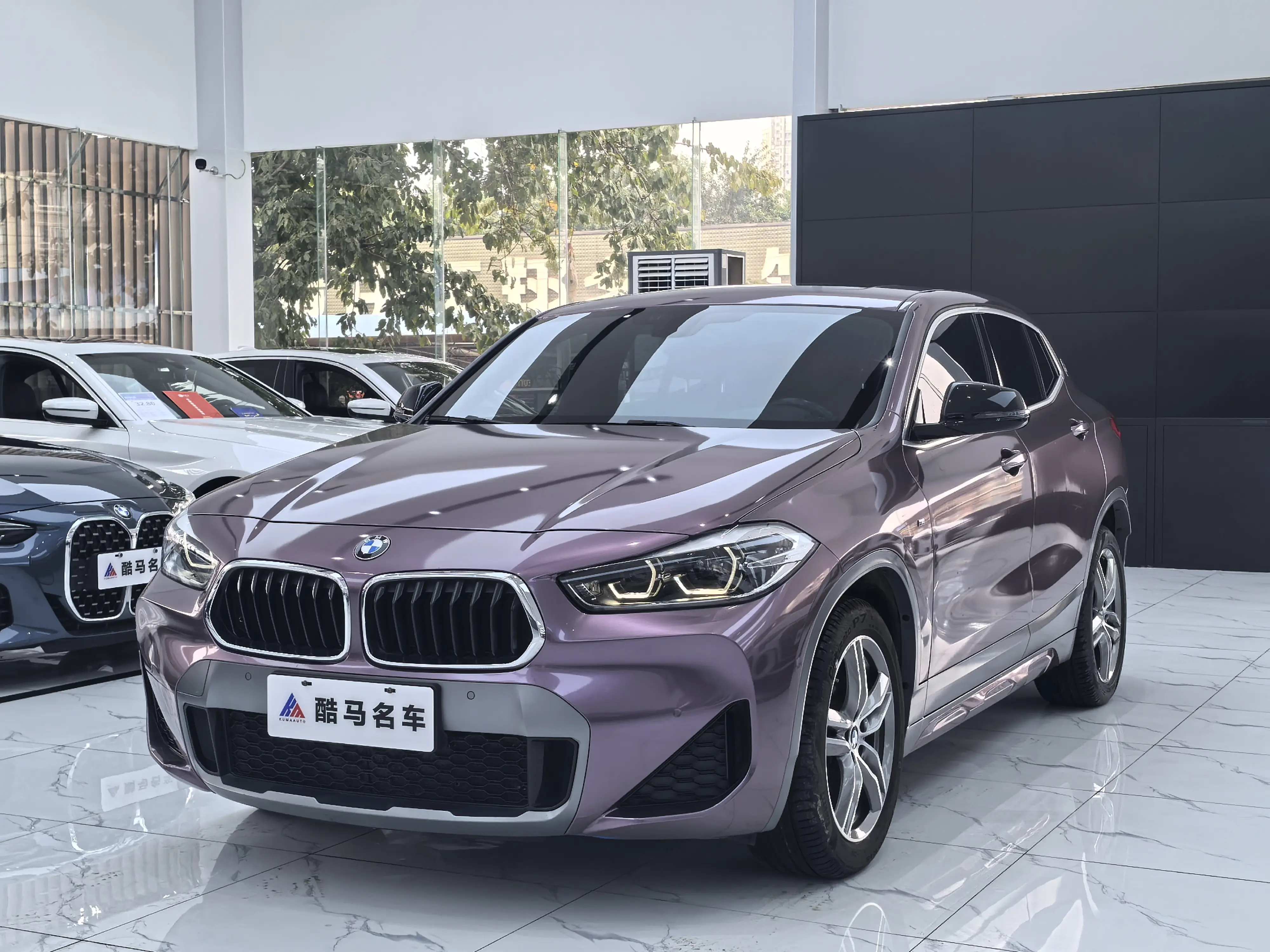 BMW X2