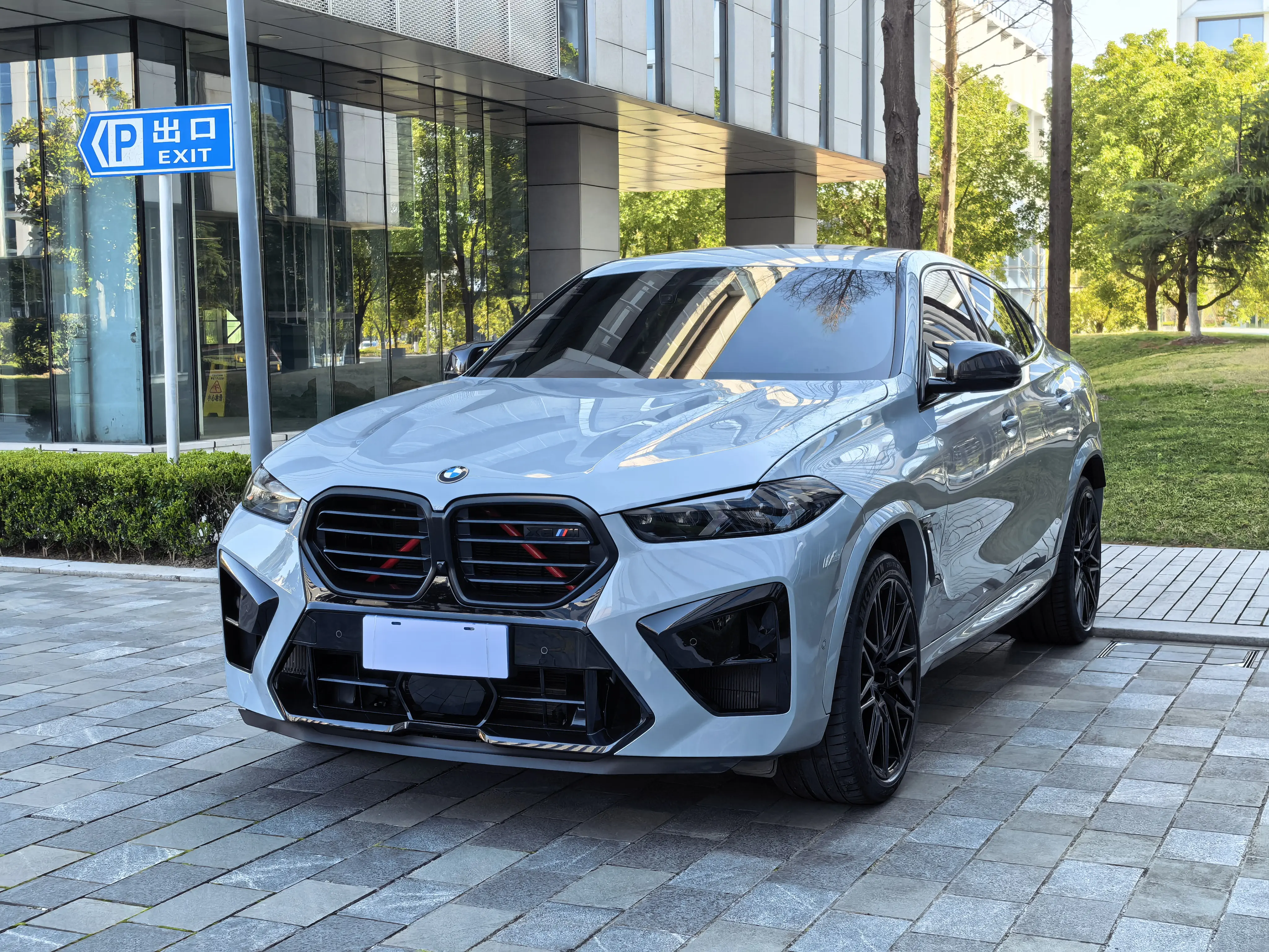 BMW X6 M