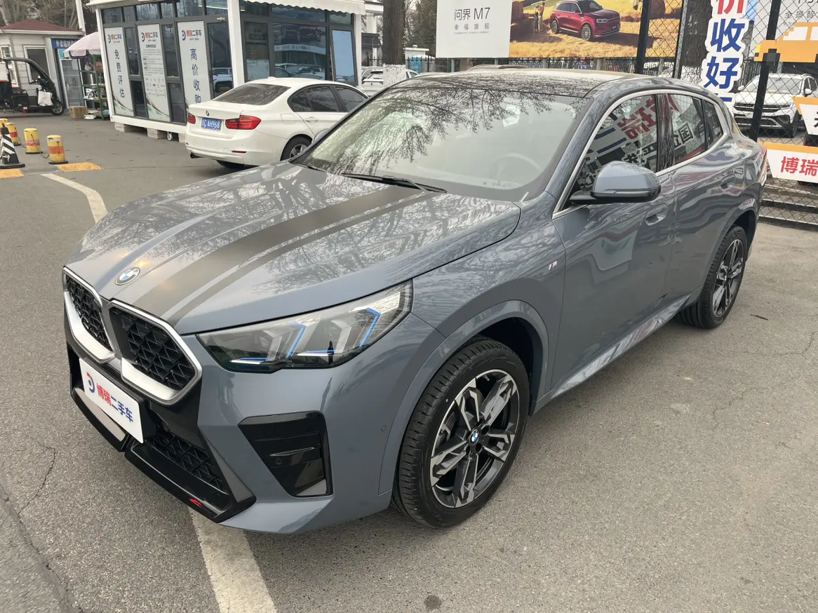 BMW X2