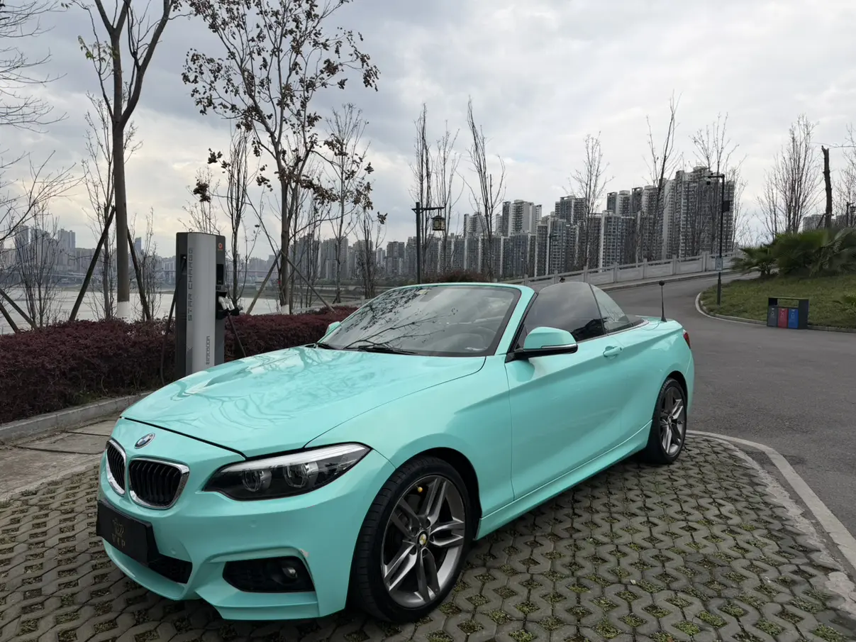 BMW 2 Series