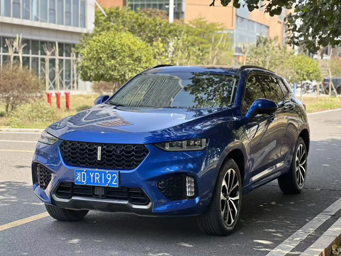 Wey Wei brand VV7
