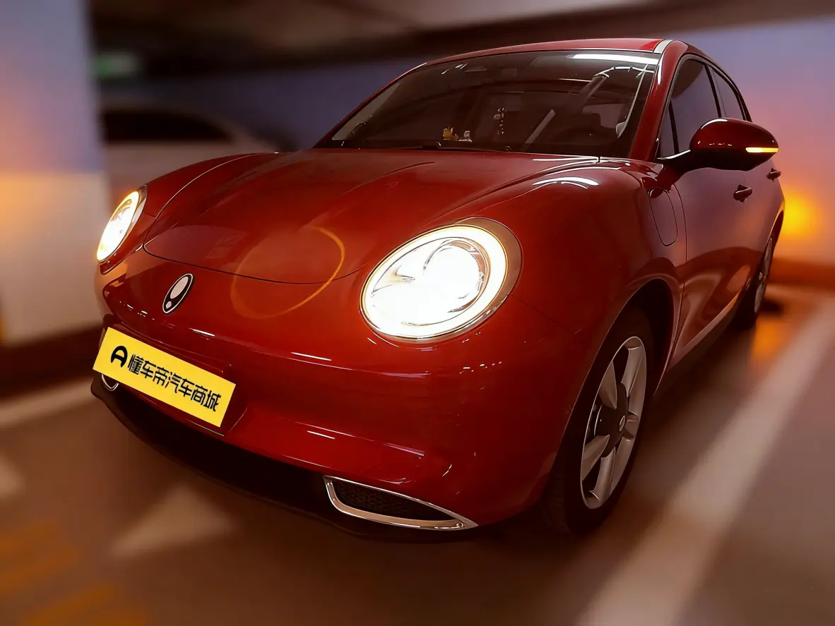 ORA Euler good cat  из Китая