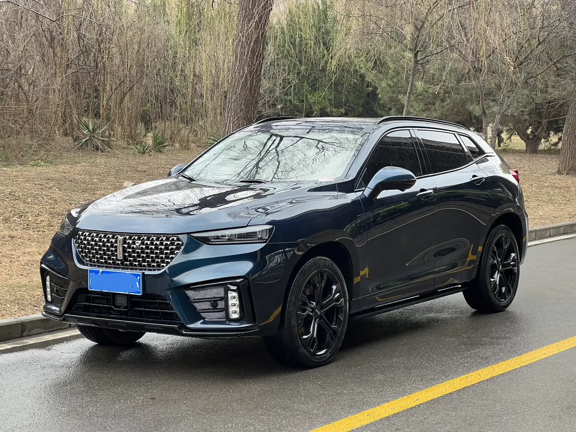Wey Wei brand VV7