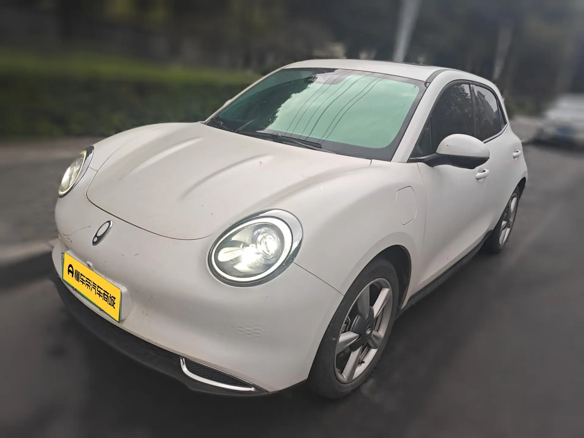 ORA Euler good cat  из Китая