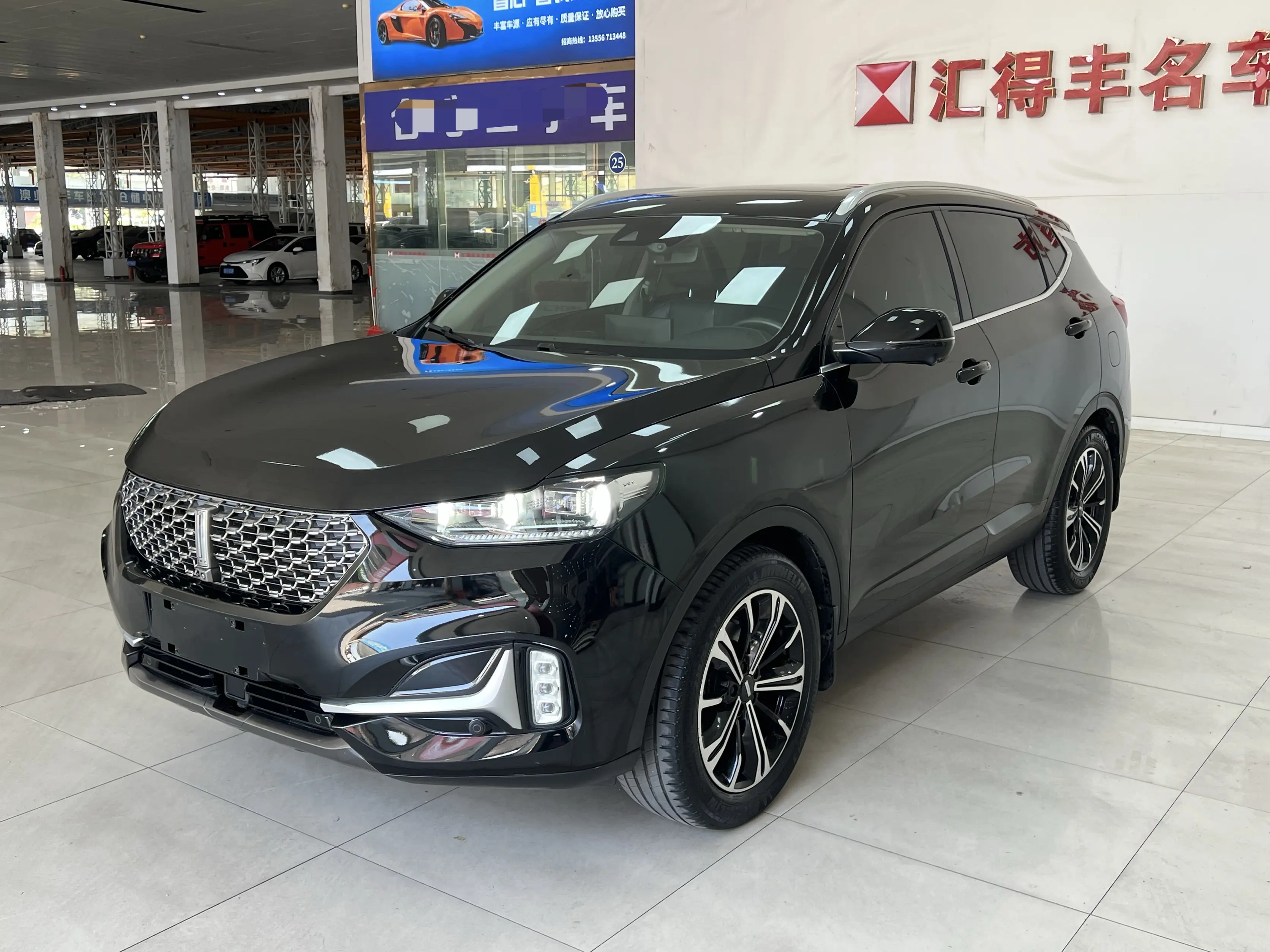 Wey Wei brand VV6