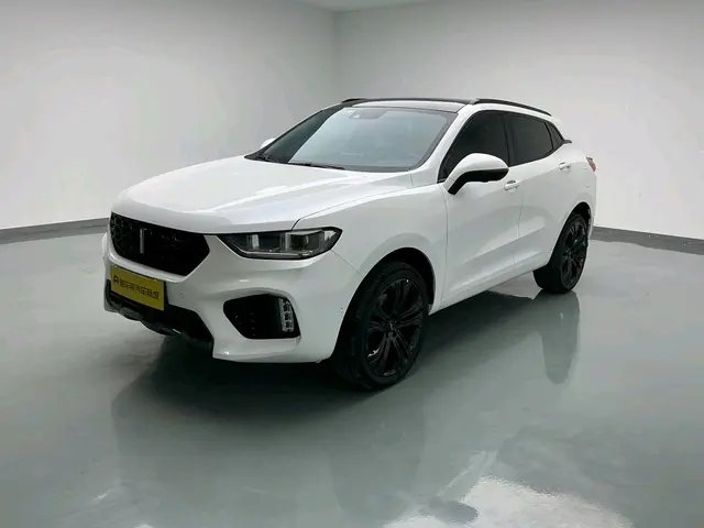 Wey Wei brand VV5