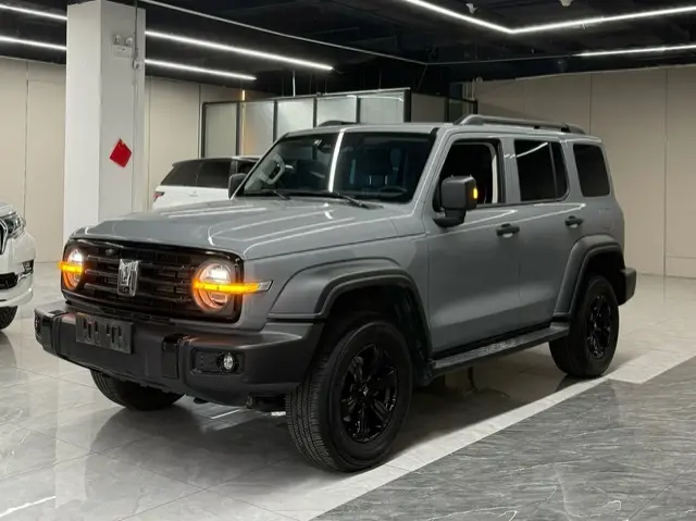 Tank 300