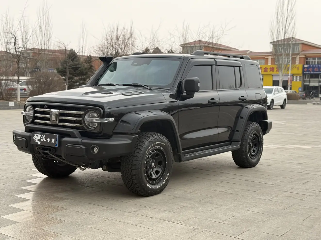 Tank 300