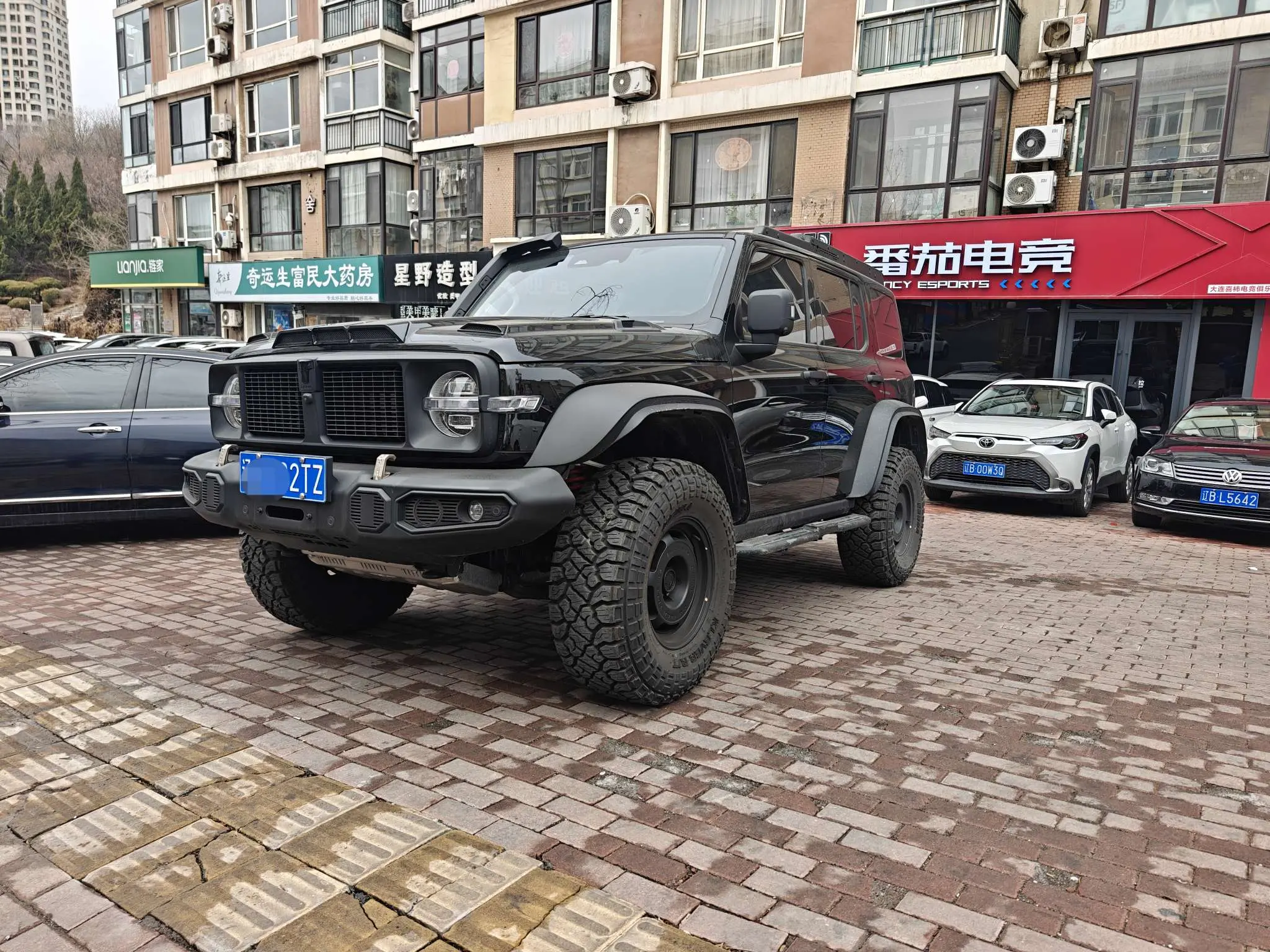 Tank 300