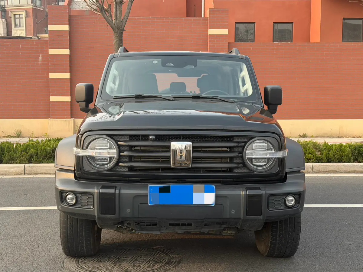 Tank 300  из Китая