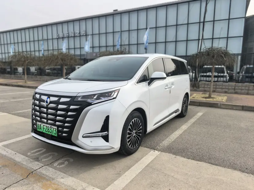 Denza D9 DM