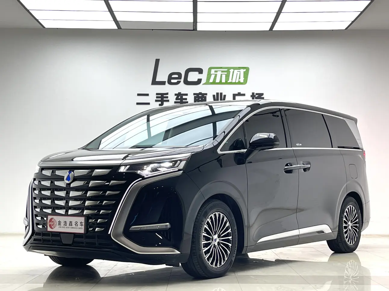 Denza D9 DM  из Китая