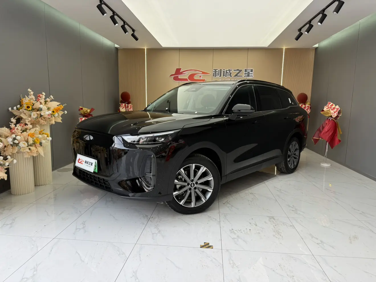 Chery Fengyun T9