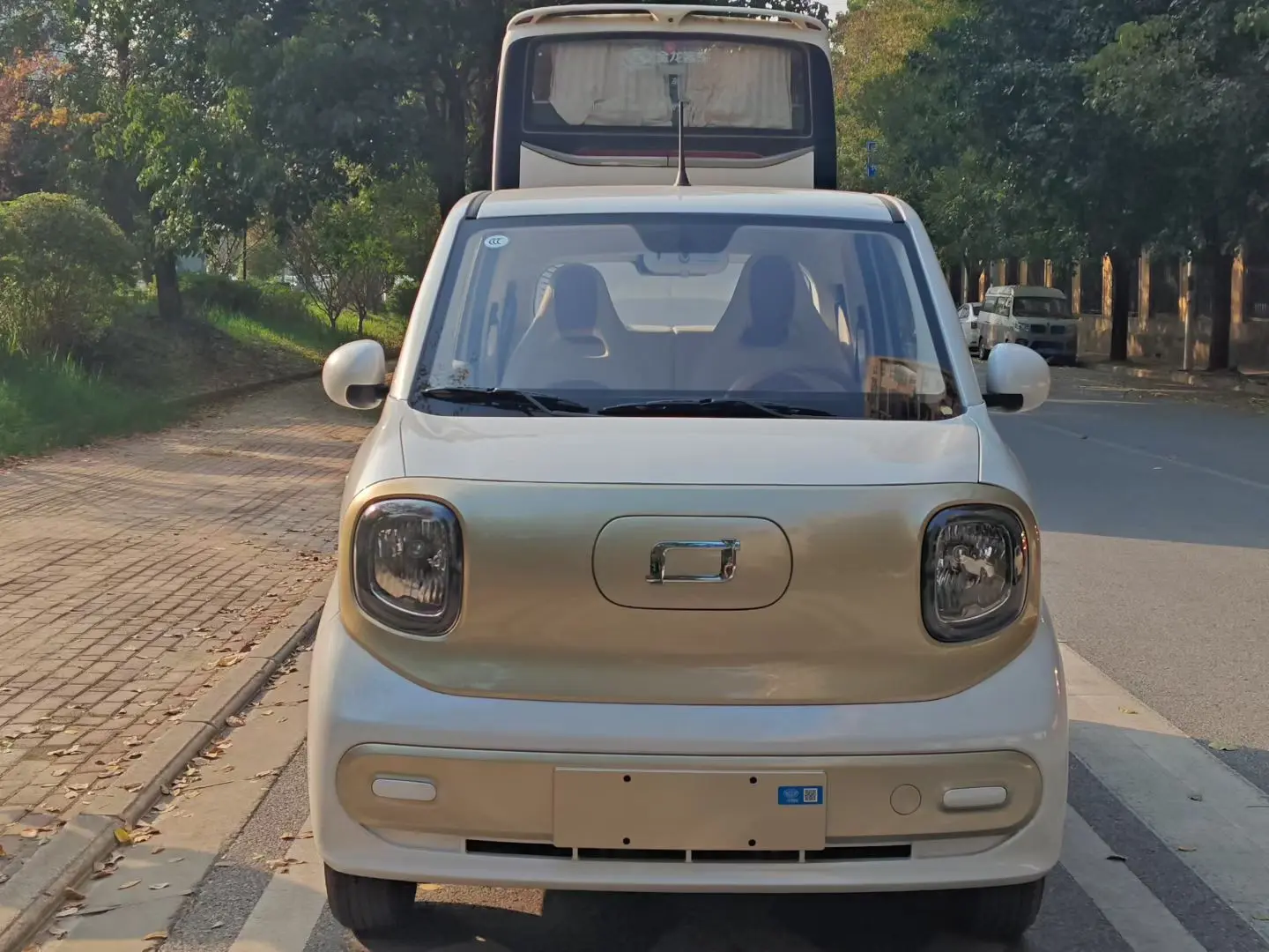 FAW Galloping Pony  из Китая