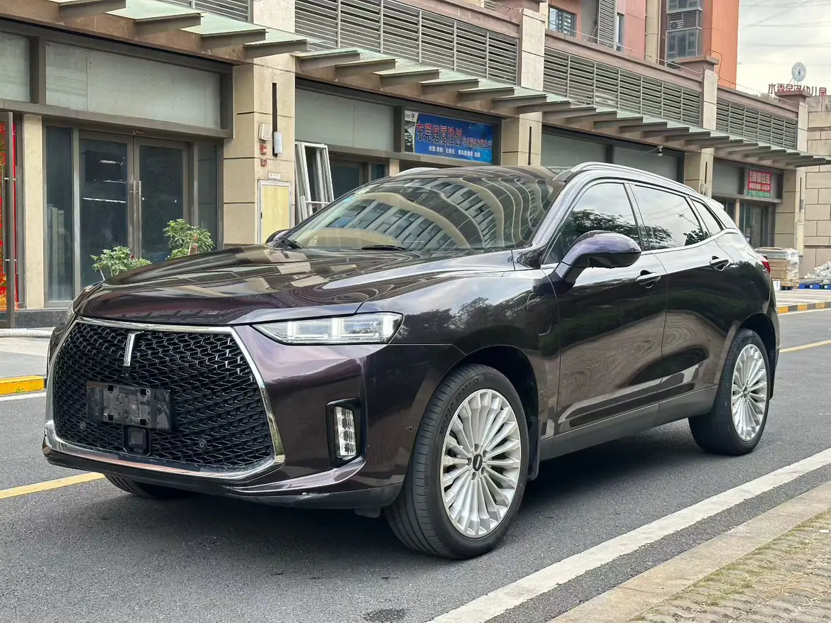 Wey Wei brand P8