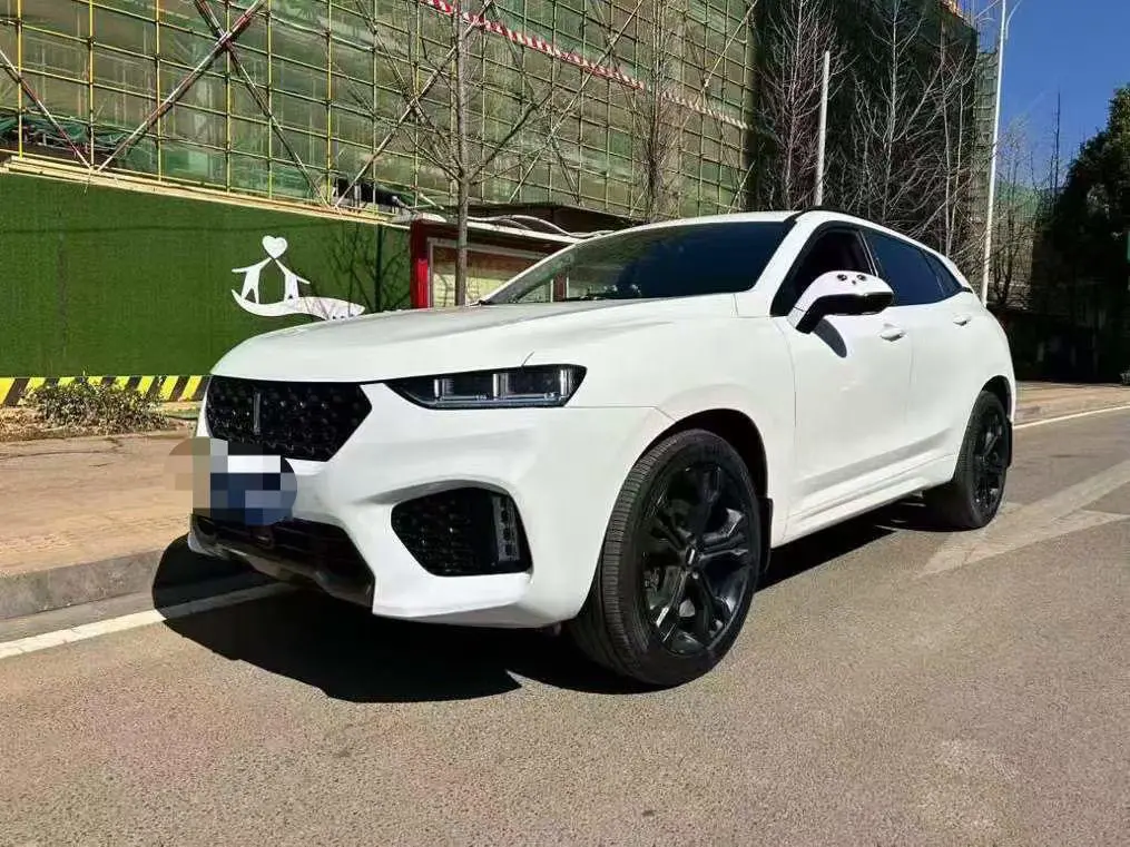Wey Wei brand VV7