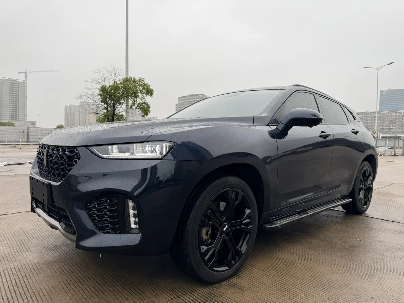 Wey Wei brand VV7