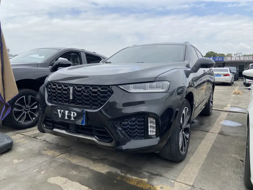 Wey Wei brand VV7