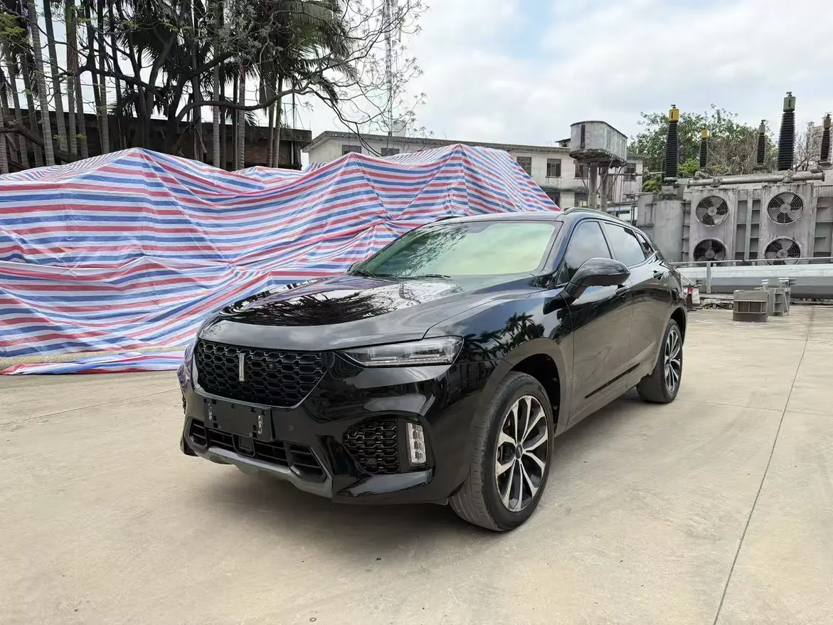 Wey Wei brand VV7