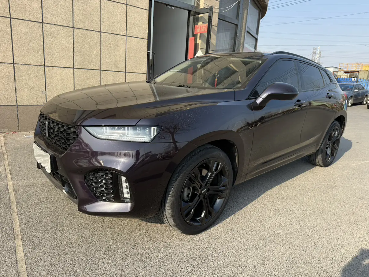 Wey Wei brand VV7