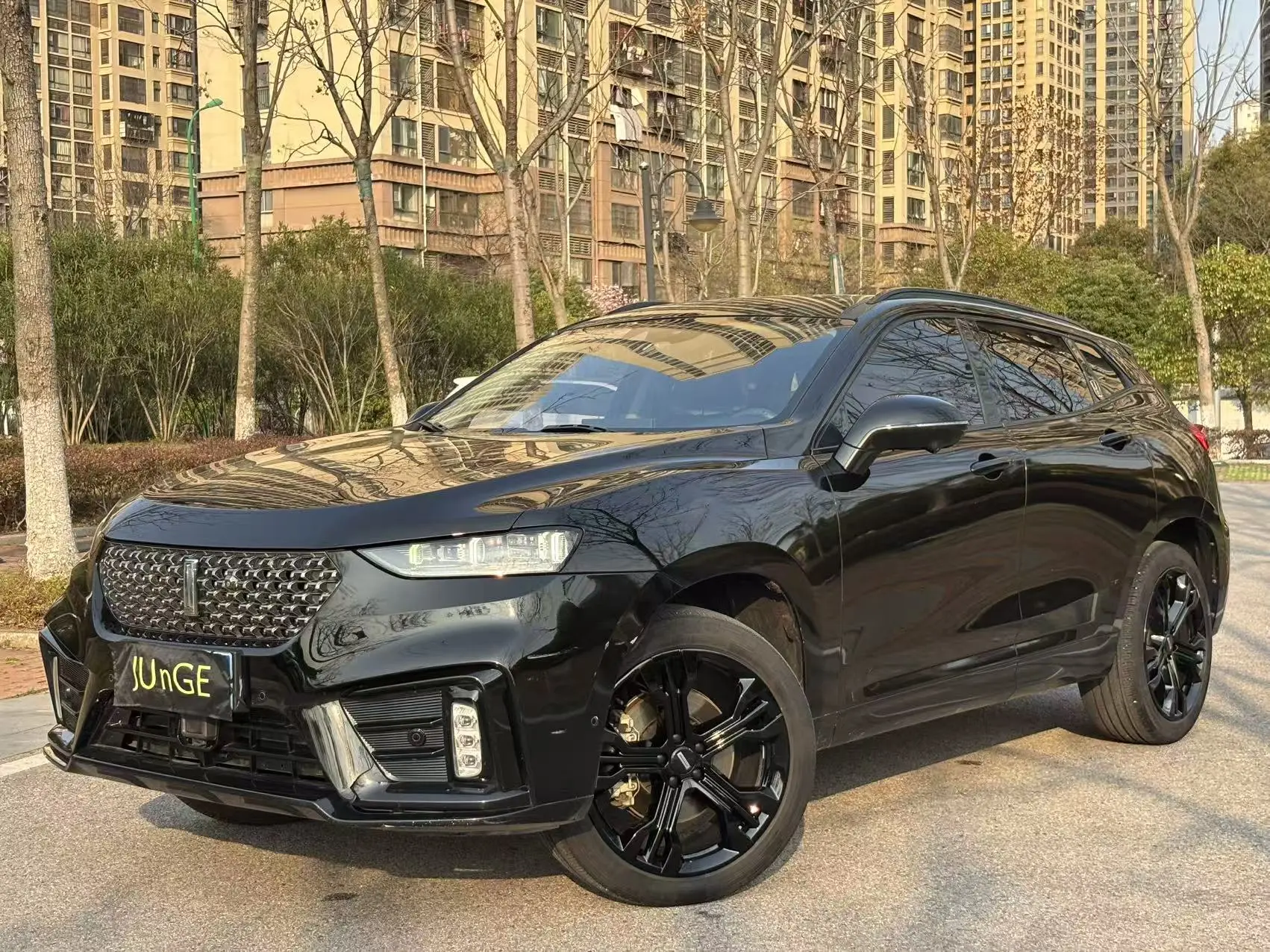 Wey Wei brand VV7