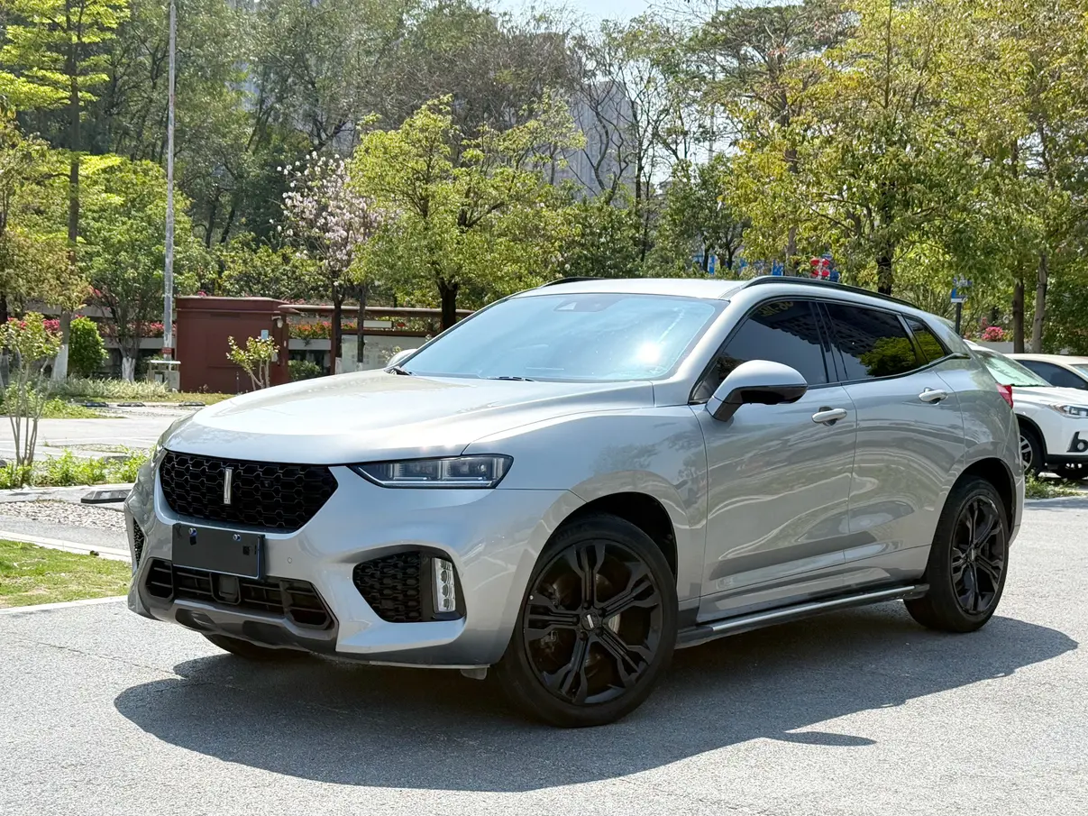 Wey Wei brand VV7