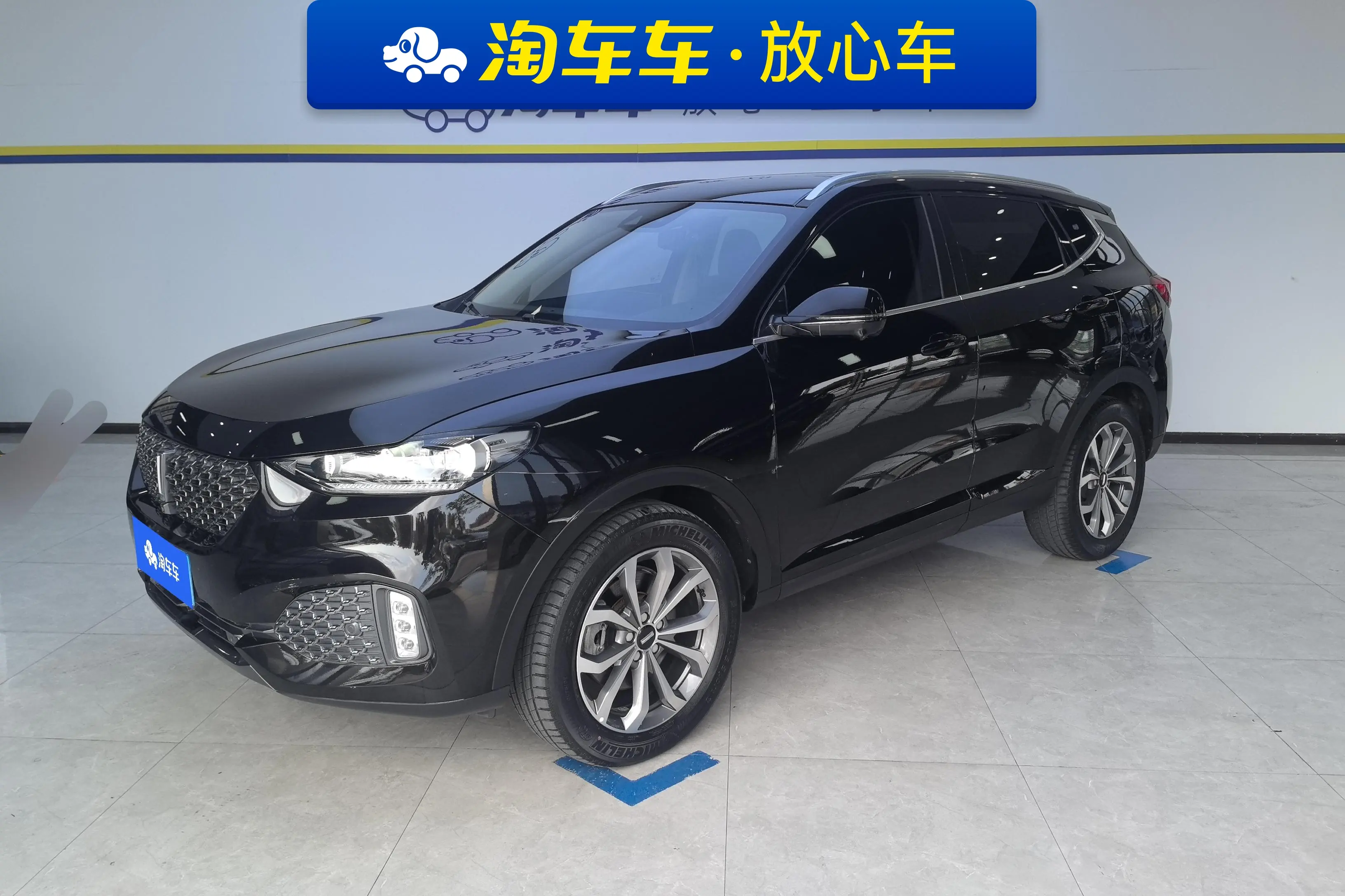 Wey Wei brand VV6