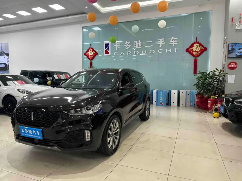 Wey Wei brand VV6